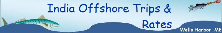 India Offshore Trips & 
                           Rates