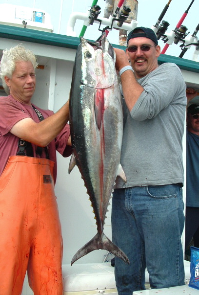 Fishing Leaders with Swivels Assortment – Fishing Leader Line for Fishing  Rigs - Fishing - Los Angeles, California